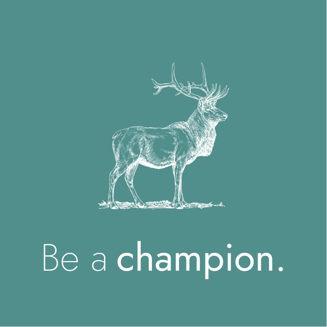 Illustration mit dem Slogan "Be a champion"