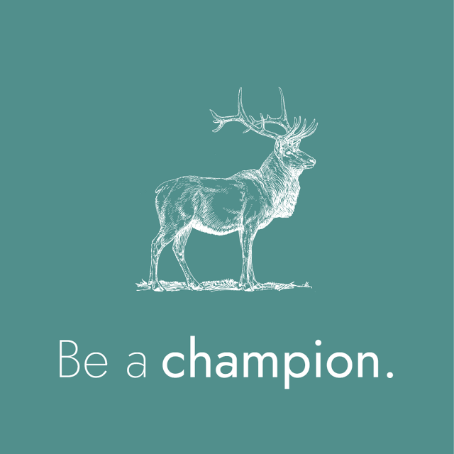 Illustration mit dem Slogan "Be a champion"